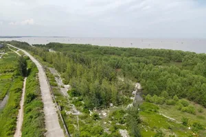 Thu hẹp Khu Bảo tồn thiên nhiên Tiền Hải ảnh hưởng tới việc thực hiện 2 nghị quyết của Đảng