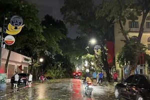 Giông lốc, mưa đá ở Hà Nội, nhiều cây xanh bật gốc