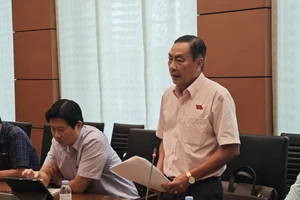 Đề xuất bảo vật quốc gia thuộc sở hữu tư nhân chỉ được bán cho người Việt Nam