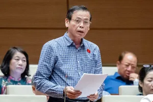 Đại biểu Trần Hữu Hậu: Khoáng sản là mỡ trước miệng mèo, phải đậy kỹ, khoá chặt