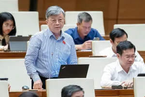 Vì sao tỷ lệ cấp phép khai thác khoáng sản thông qua đấu giá thấp?