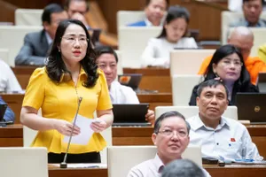 Giá nhà ở tăng quá cao, bất thường do đâu?