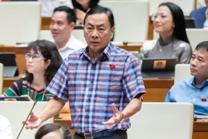 Đại biểu Quốc hội: Sao ngân hàng không vay USD của dân lãi suất thấp?