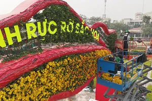 Festival hoa Mê Linh lần thứ hai trước giờ khai hội
