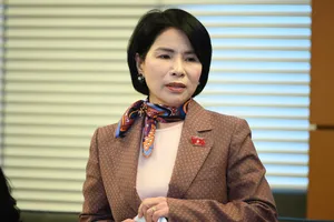 Các đại biểu nói về sự cần thiết lập hai ủy ban mới của Quốc hội