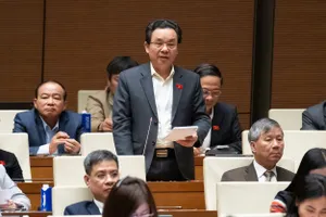 Rừng thủ tục khiến nhà khoa học phải tìm cách 'nói dối', mất nhiều thời gian