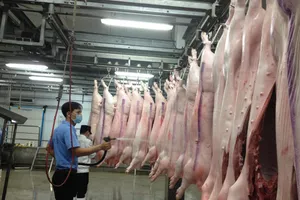 Chưa đến 20% cơ sở giết mổ có phép, Hà Nội siết lò mổ chui