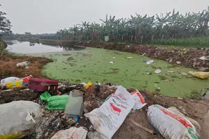 Hà Nội: Giao công an điều tra, xử lý hành vi xả thải nghiêm trọng ra các dòng sông 