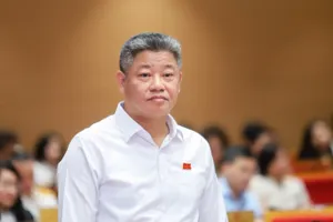 Phó Chủ tịch UBND TP Hà Nội: Có chuyện đêm lén lút phun thuốc, sáng đem rau đi bán