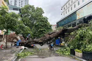 Chủ tịch Hà Nội ra công điện chỉ đạo ứng phó bão số 9