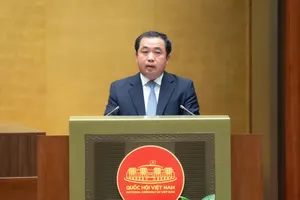 Việt Nam sẽ ban hành chiến lược quốc gia về đất hiếm vào năm 2026