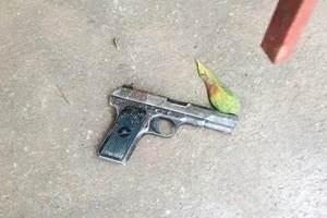 Tạm giữ 2 thanh niên trong vụ đánh chết trộm chó tại Bắc Giang