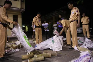 Vận chuyển ngà voi bị bắt, hối lộ CSGT 500 triệu đồng