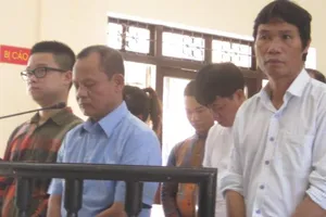 Trùm gỗ Minh 'sâm' tự nhận do hiểu biết pháp luật kém