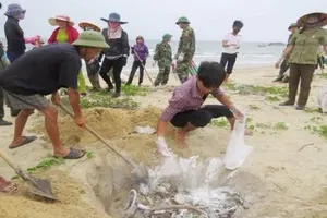 Có thể công bố nguyên nhân cá chết bất thường vào ngày 29-6