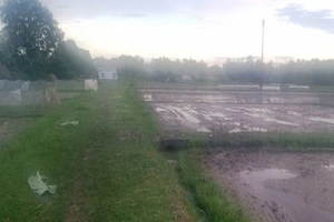 Trú mưa ngoài đồng, 7 người bị sét đánh 