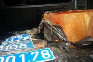 Nhặt được biển xanh, gắn vào ô tô để chở gỗ lậu