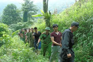 Tội phạm hình sự ở nông thôn gia tăng