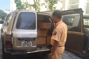 Nhồi nhét 62 khúc gỗ cấm trên chiếc ô tô hạng sang
