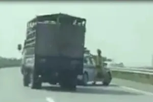 Xe chở heo đâm vào CSGT,phóng nhanh lên cao tốc bỏ chạy