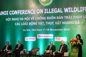 Nếu không quyết liệt, tương lai không còn voi, tê giác