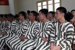 Gần 83.000 người được đặc xá trong 8 năm