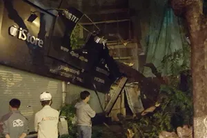 Hà Nội: Cây lớn bất ngờ đổ sập cửa hàng điện thoại