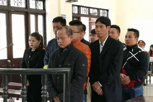 Hoãn xử ông trùm Minh 'sâm' vì… luật sư bị cảm lạnh