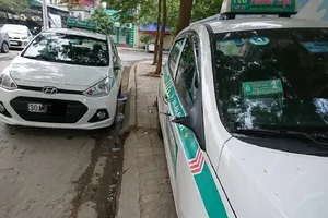 Sau 1 đêm, hàng loạt ô tô bị trộm vặt trụi gương