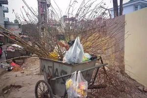 Chùm ảnh báo hiệu 'Tết đã hết!'