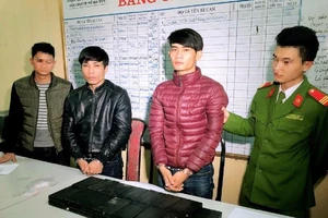 Vận chuyển 30 bánh heroin lấy công 80 triệu đồng 