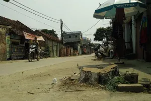 Chặt cây xanh để dẹp vỉa hè: “Quá máy móc”!