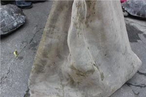 Hàng trăm con rắn và rùa giấu trên xe khách