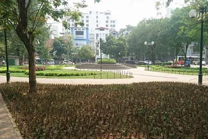 Vụ cắm chông tre ở vườn hoa: Nhổ bỏ ngay