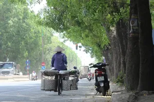 Chặt 1.300 cây trên đường Phạm Văn Đồng để mở đường