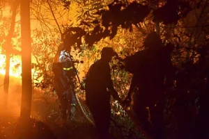 Hà Nội: Cháy rừng Sóc Sơn lớn nhất trong lịch sử