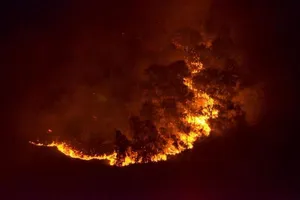 Chùm ảnh cháy rừng Sóc Sơn lớn nhất trong lịch sử