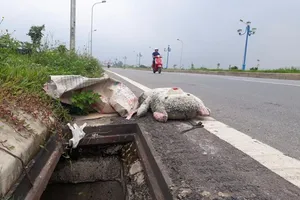 Hố “tử thần” giăng đầy trên đường nghìn tỉ