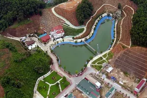 Tiếp tục lùi công bố kết luận thanh tra tại Yên Bái