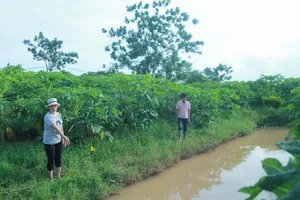 Điều tra vụ bé trai tử vong dưới rãnh nước