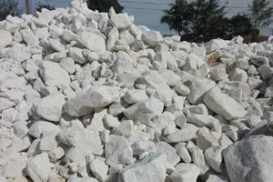 Trưởng công an TP.Thái Bình bị hắt vôi bột vào người