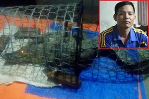 Lời kể rùng mình vụ bắt cá sấu 30kg ngay giữa Hà Nội