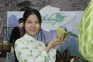 Cận cảnh trái na 'khổng lồ', dân Hà Nội đổ xô mua