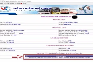 Tài xế có thể tra cứu phạt nguội qua Internet