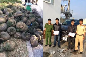 Vận chuyển 112 con tê tê, tông gãy barie khi thấy CSGT