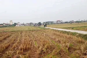 Sát hại nhân tình rồi phi tang dưới cống nước