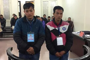 Vẫn phạt tù bị cáo vụ “khởi tố xong 14 năm mới xử“