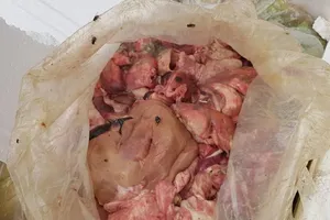 3 tạ nội tạng thối suýt đầu độc dân ngày Tết