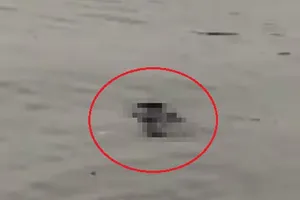 Thi thể nam giới nổi trên mặt hồ Tây