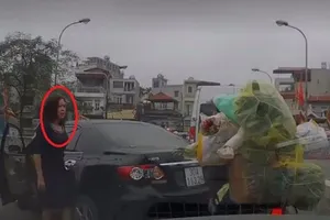 Xử phạt nữ tài xế quay ôtô trên cầu còn chửi người khác